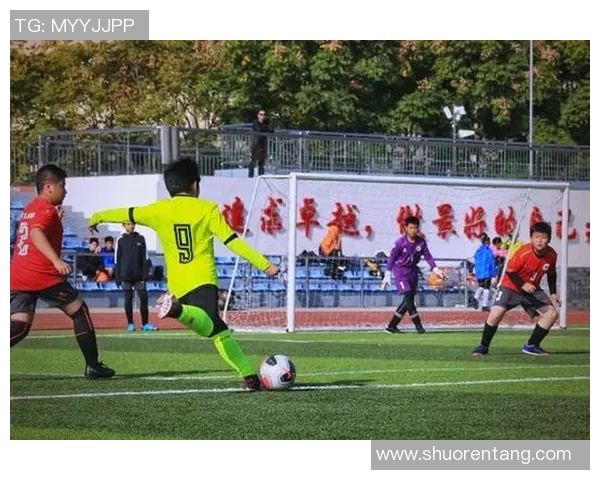 足球舒洋带你领略绿茵场上的激情与梦想，探索足球背后的故事与魅力