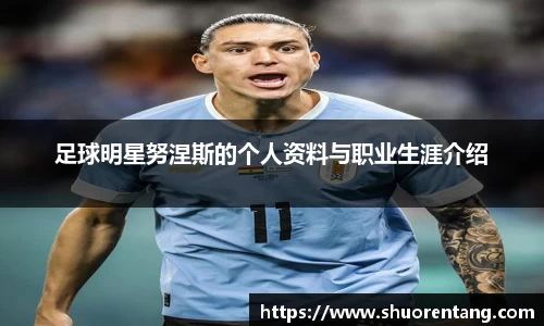 足球明星努涅斯的个人资料与职业生涯介绍
